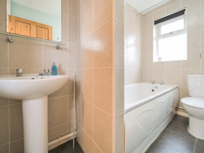 Picture 8